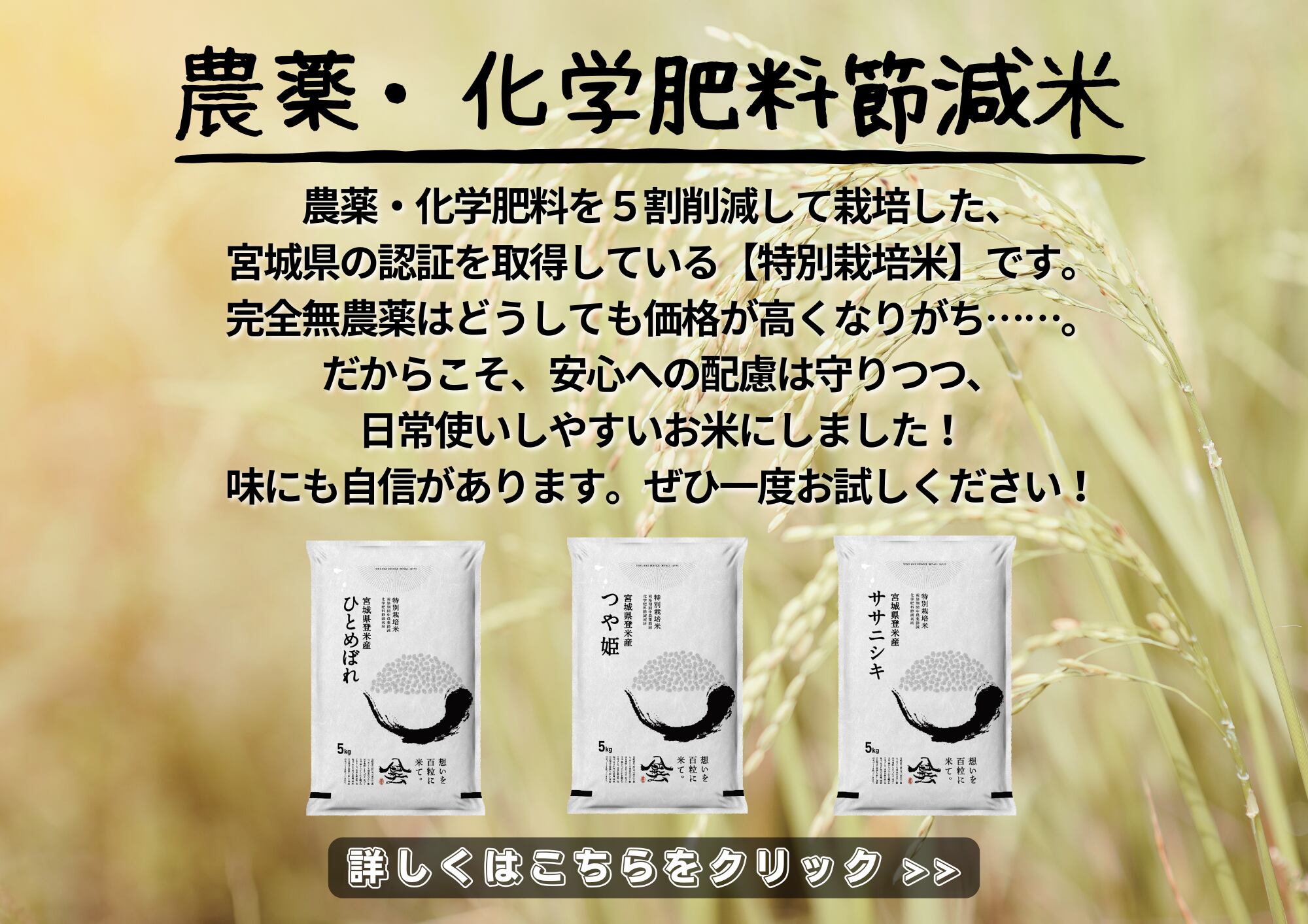 Tome Rice Service紹介画像2