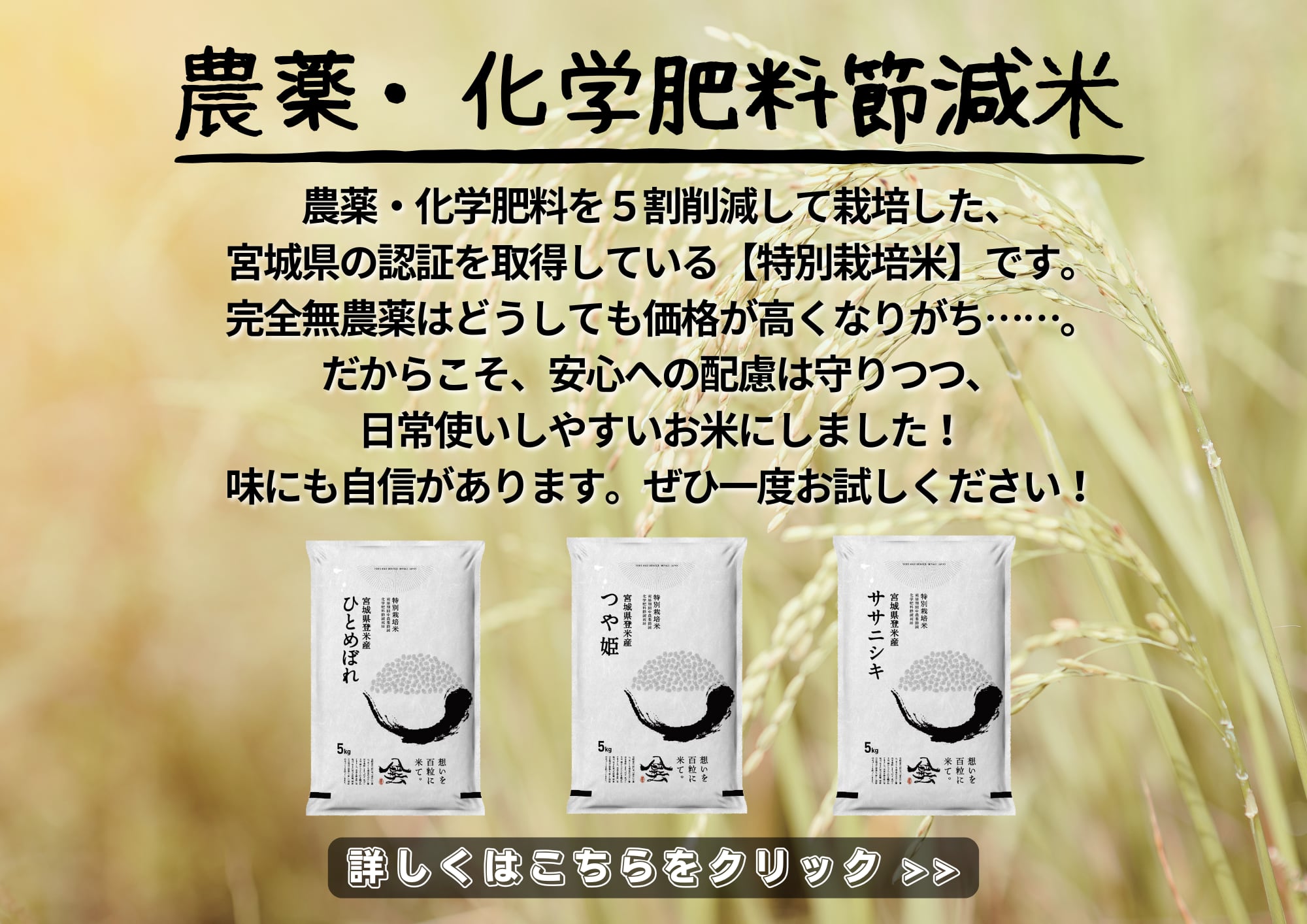 Tome Rice Service紹介画像1