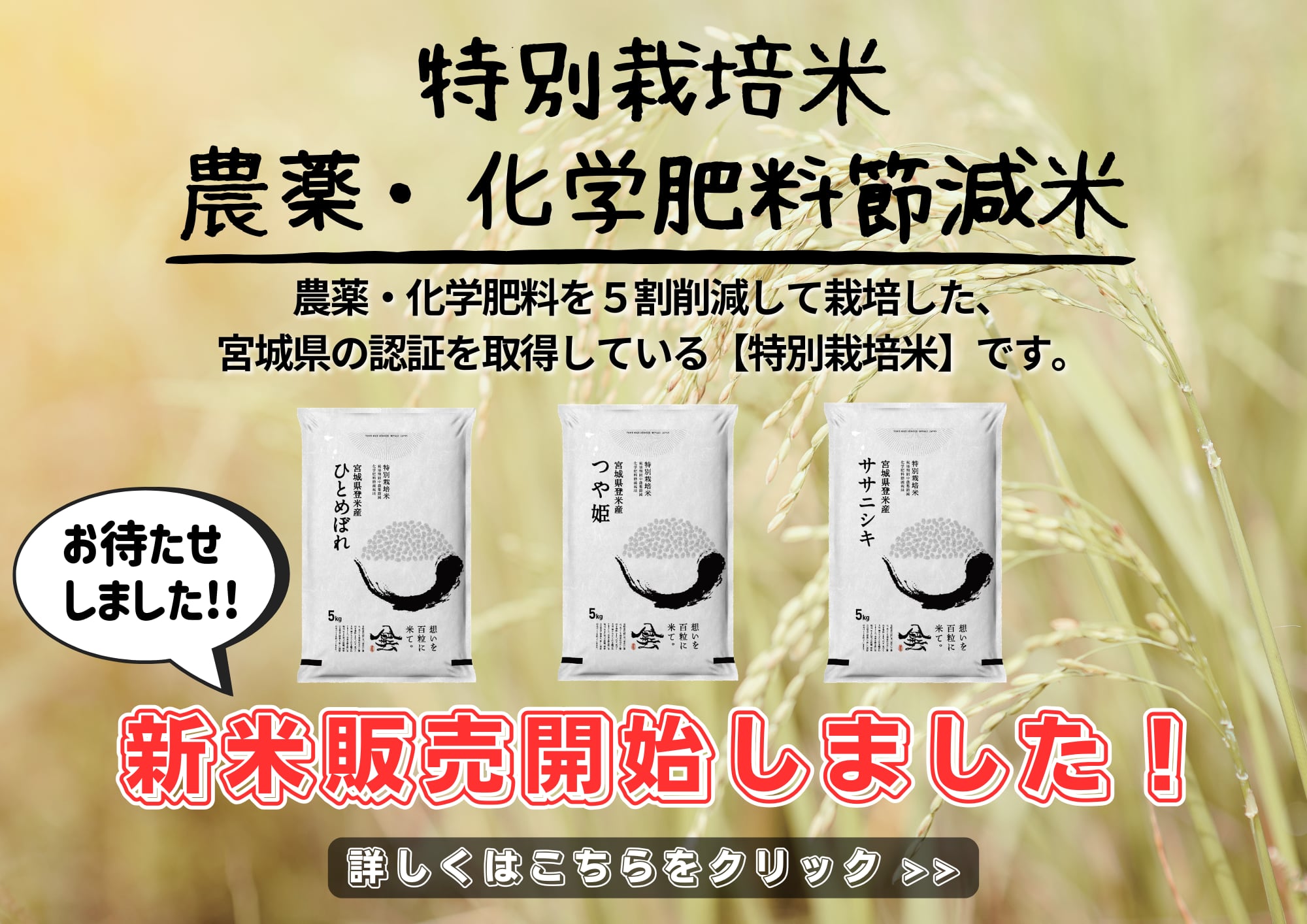 Tome Rice Service紹介画像1
