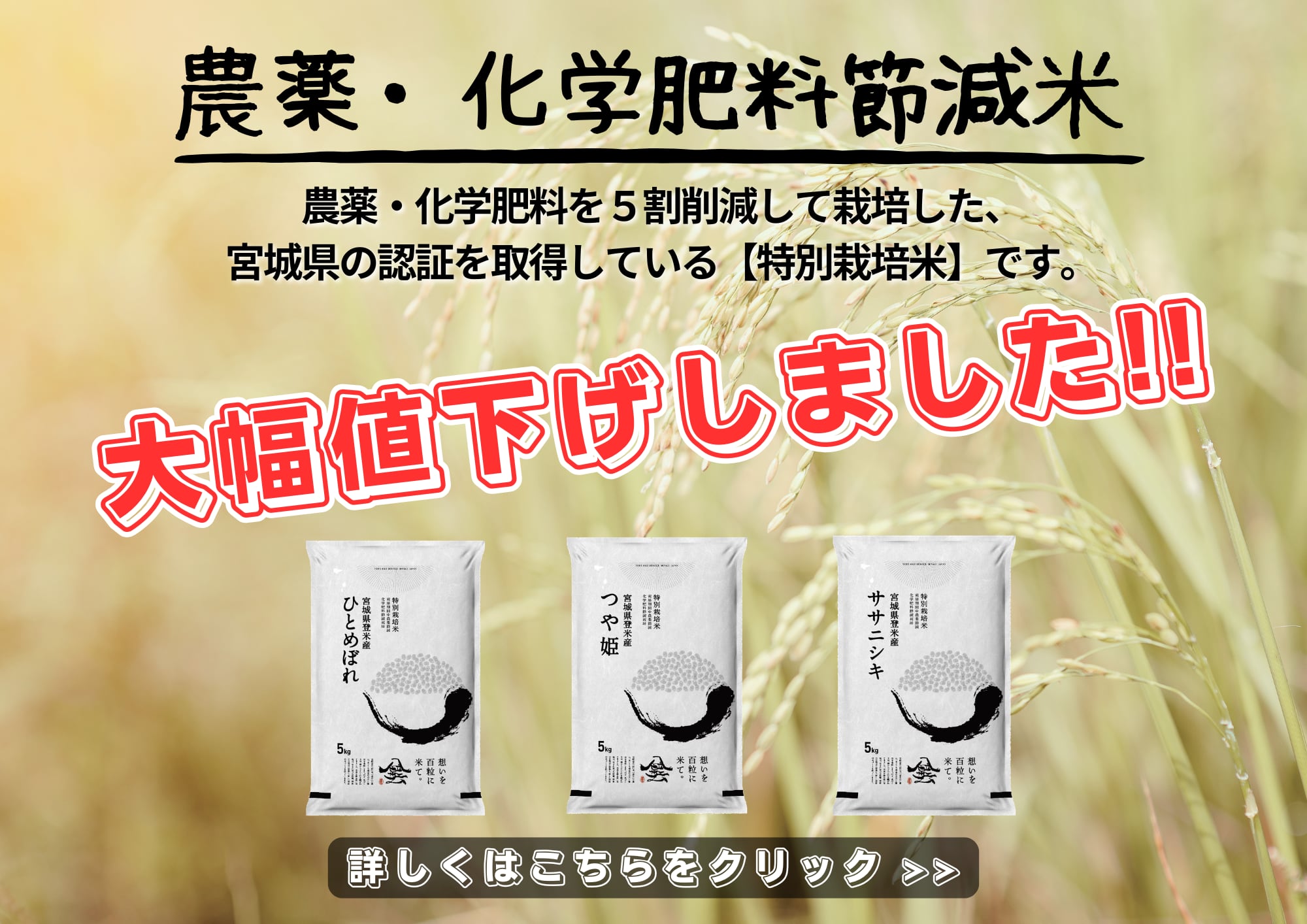 Tome Rice Service紹介画像1