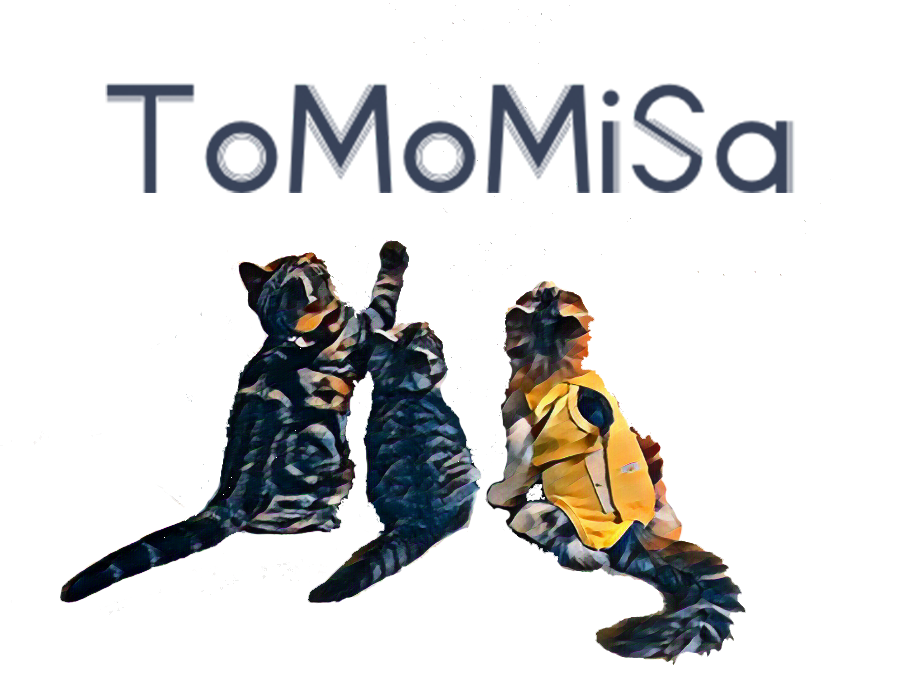 ToMoMiSa