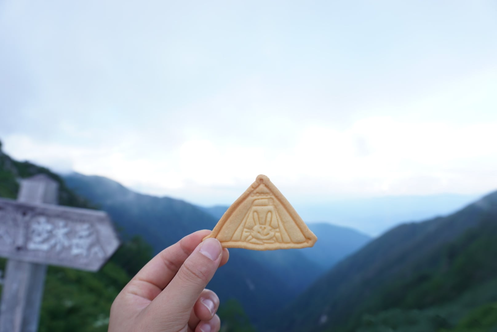 お菓子屋山 Tonte