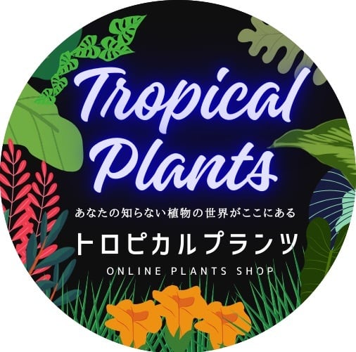 トロピカルプランツ・トロピー　TOROPY