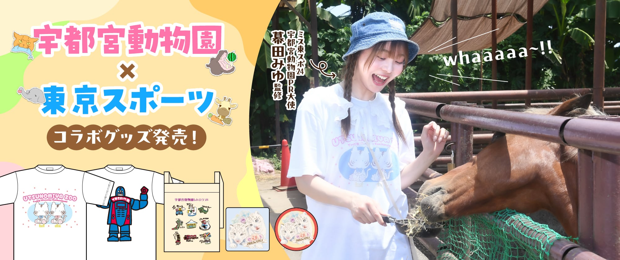 ce679e0d93c4901404b44b9d0a06a5