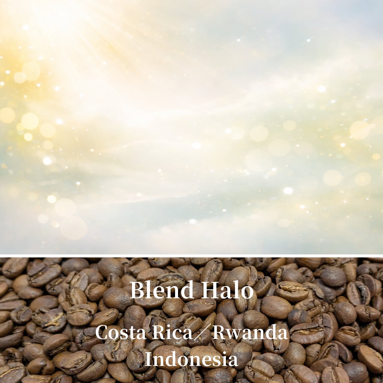 春のブレンド｜Blend Halo（浅煎り）コーヒー豆／粉
