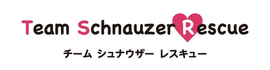 tsrハンドメイドshop