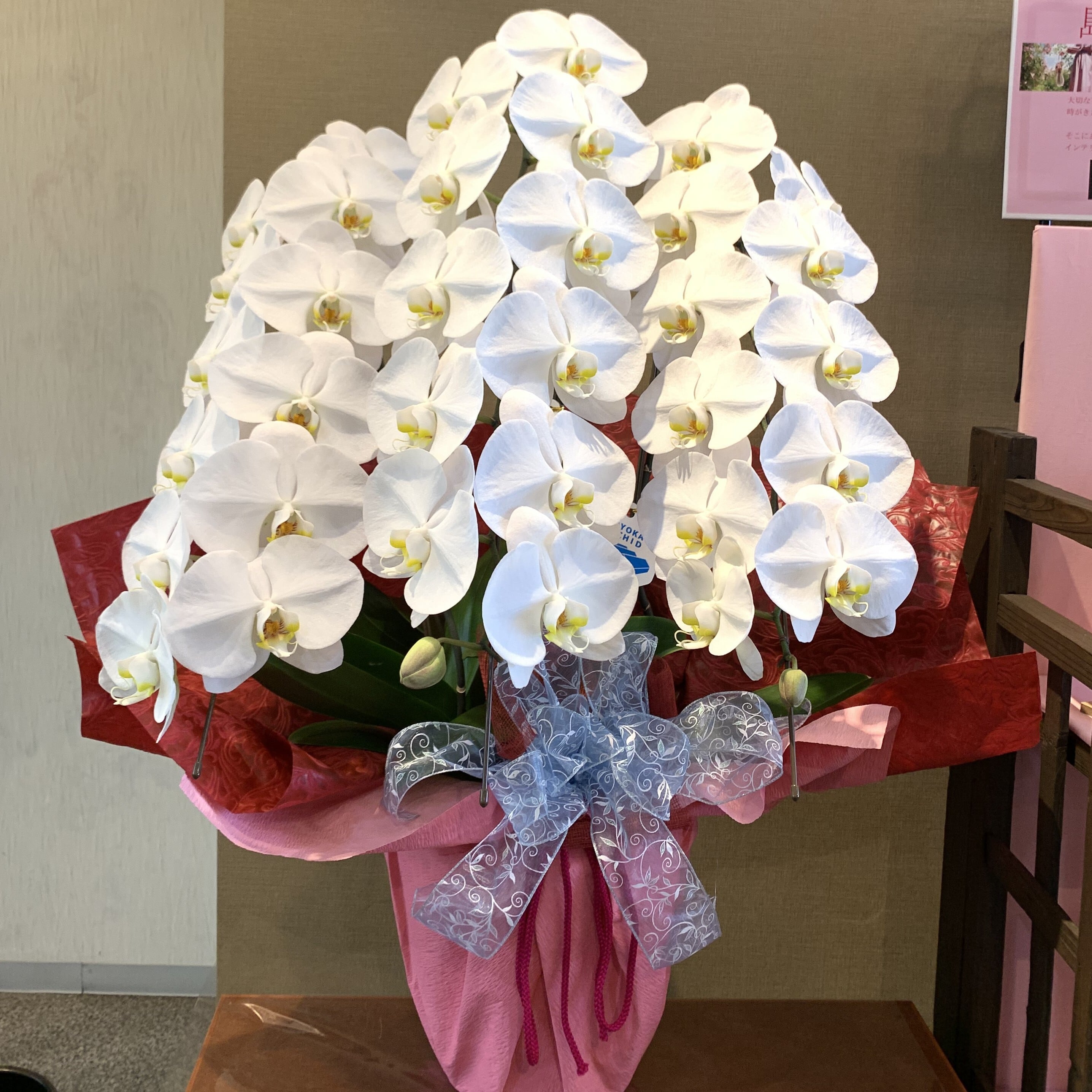 つちやフラワー配送の胡蝶蘭 鉢植えです。
ラッピングを豪華にすることができます。
お花のお色の変更希望の方はご相談ください。
受注後新鮮なお花でお作りします。
ご希望でのしやカードもおつけできますので
ご希望の方はコメントください。