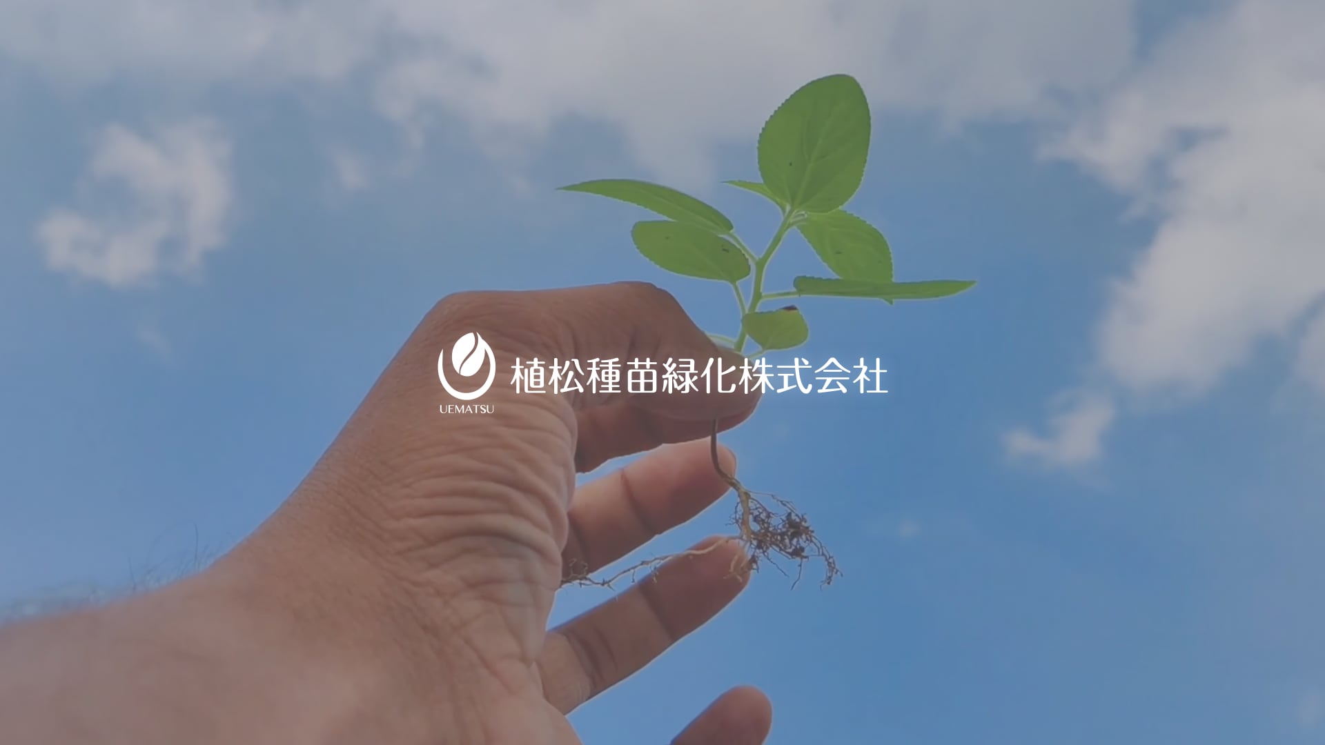 メインビジュアル