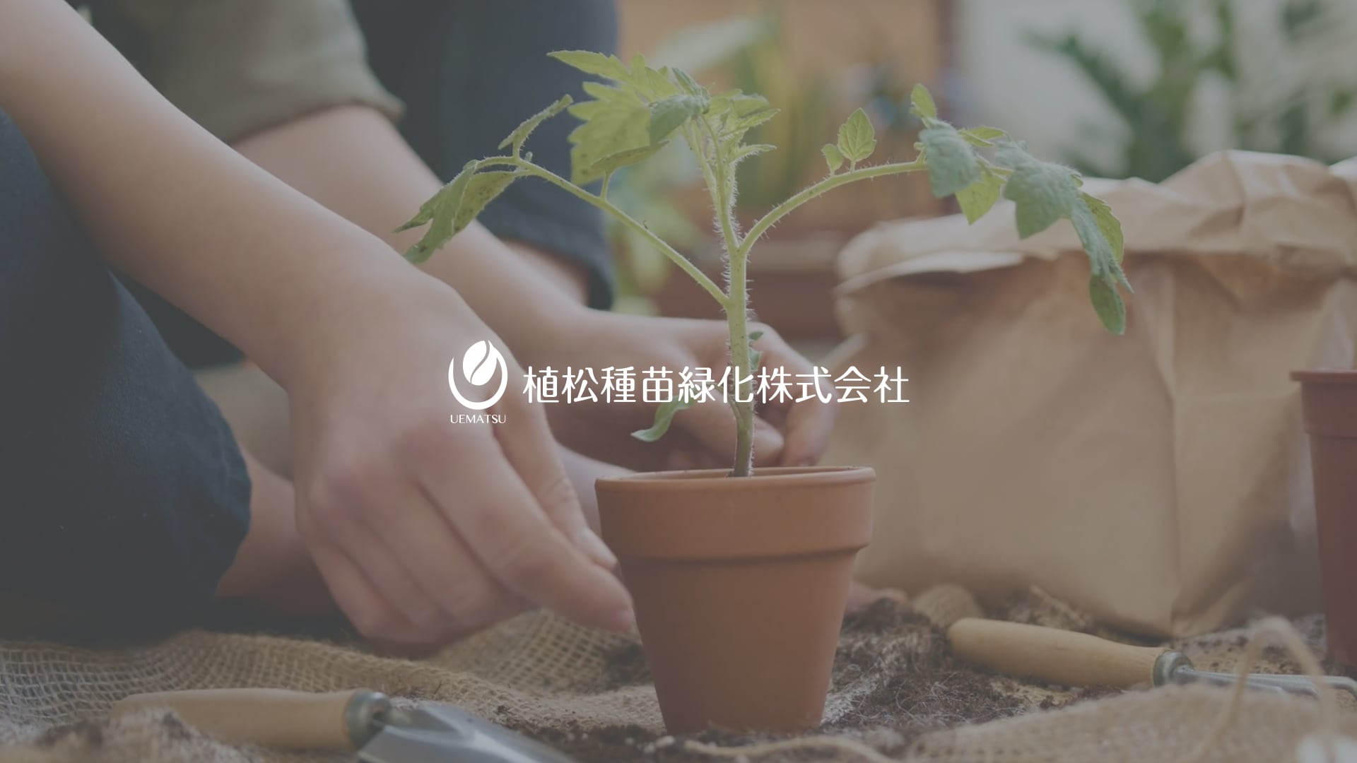 メインビジュアル