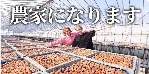 nuts YouTubeにて<br>梅の仕事に密着〜
