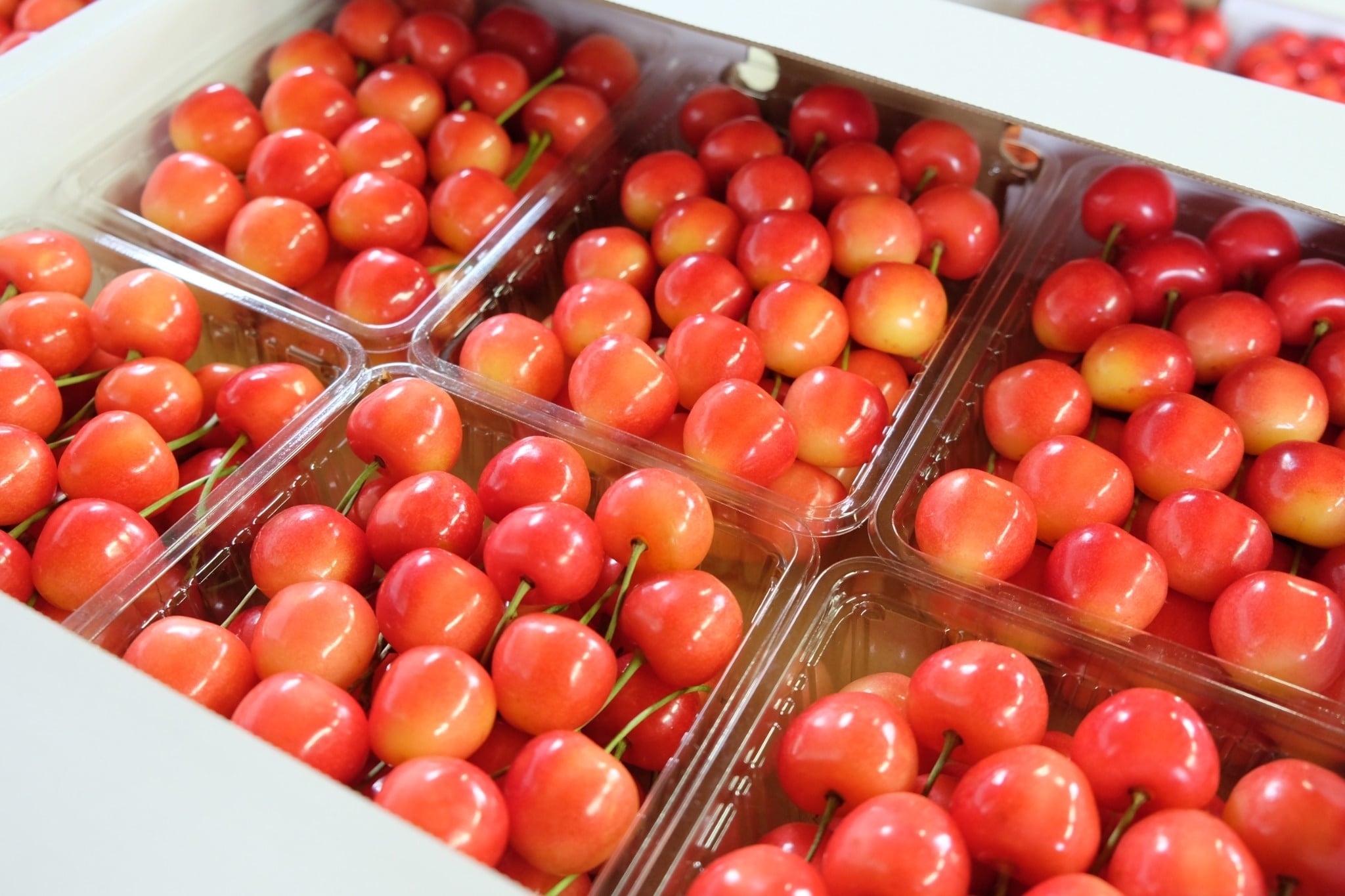 UMIX FARM STORE