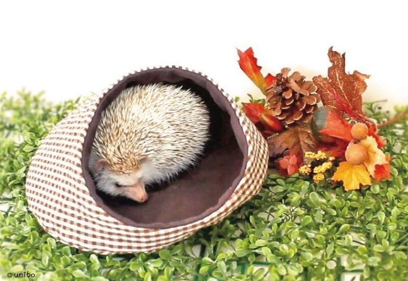 ハリネズミ寝袋 オーダーページ 【公式通販】