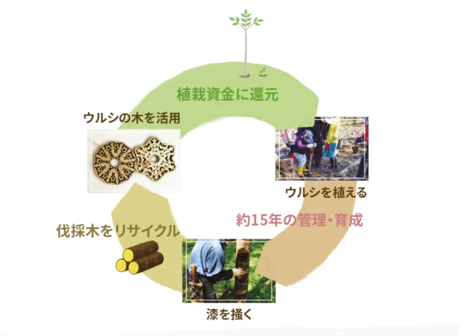 ウルシの木の活用プロジェクト