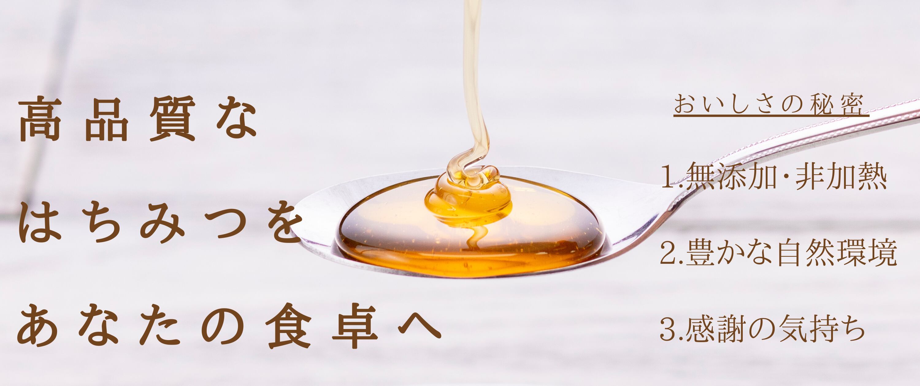 新年の贈り物 ぴろこん様専用ページです アカシア蜜１０本 Stokegiffordtrust Org Uk