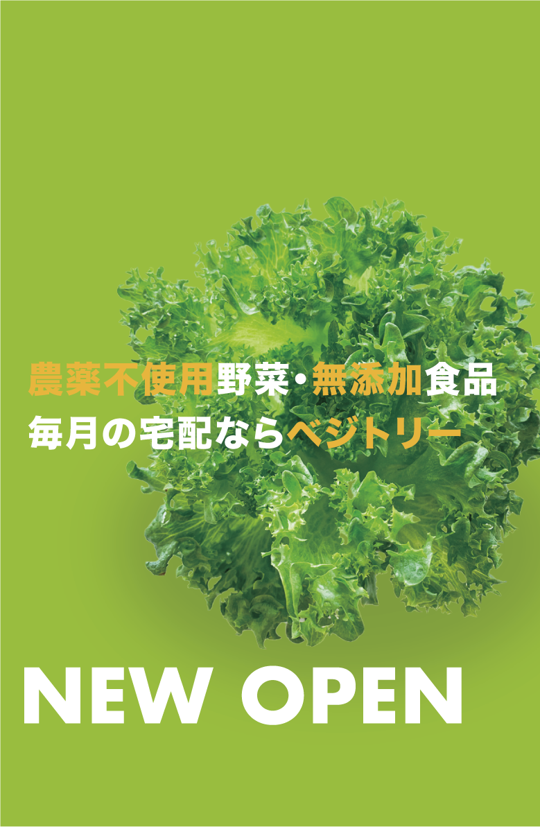 2024.07.31<br>
NEW OPEN