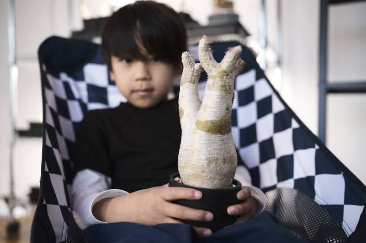 イメージ画像