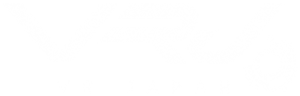 vrjapan