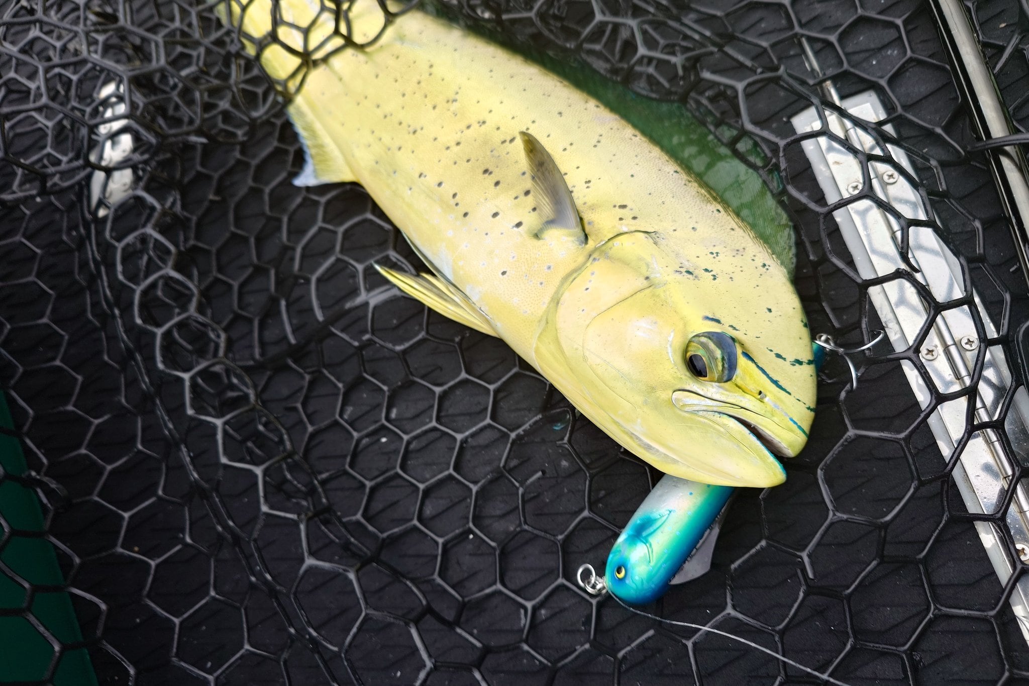 【希少・限定】Wa-ka-sハードルアー wood製品 希少・限定】Wa-ka-sハードルアー wood製品 - メルカリ