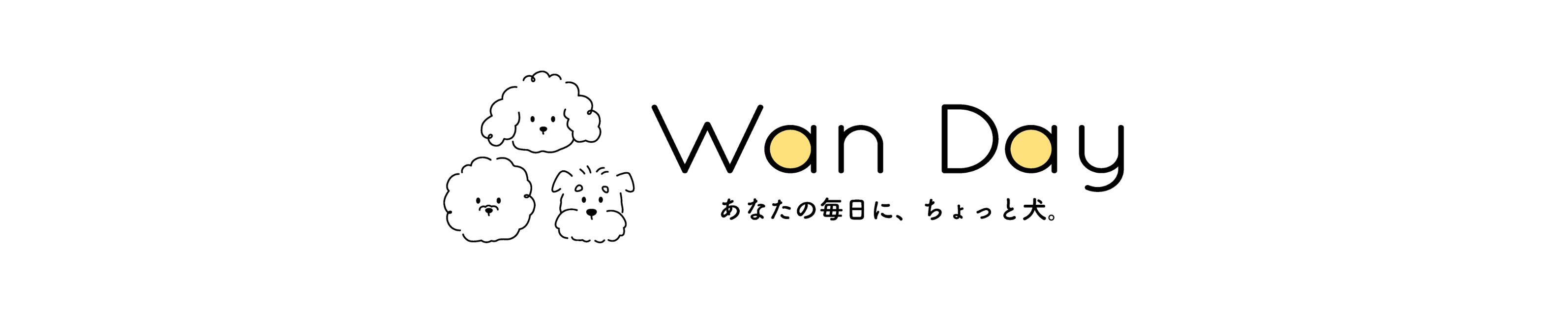 ABOUT