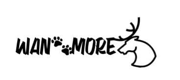 WAN_MORE