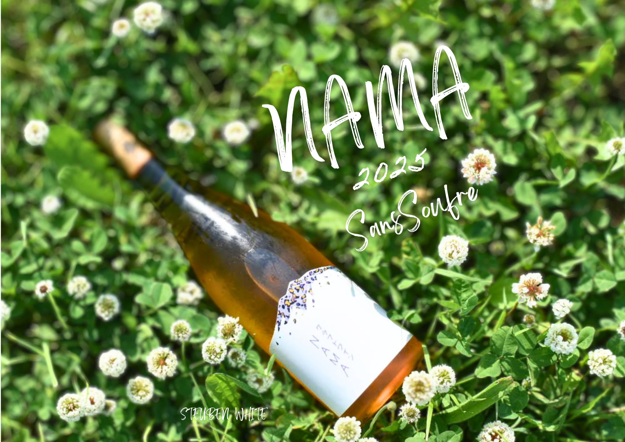 今飲みたい!!<br>『NAMA2025』リリース!