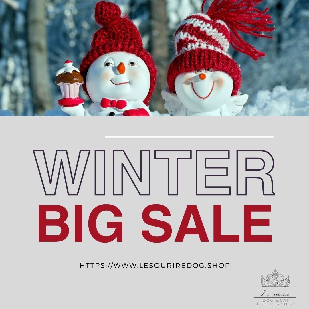 即納　WINTER  SALE