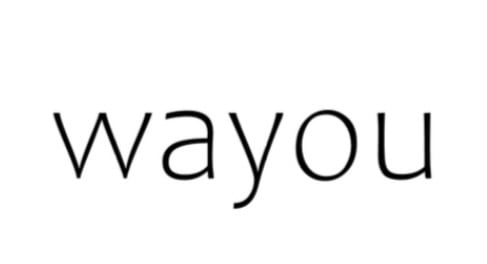 wayou
