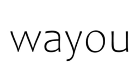 wayou