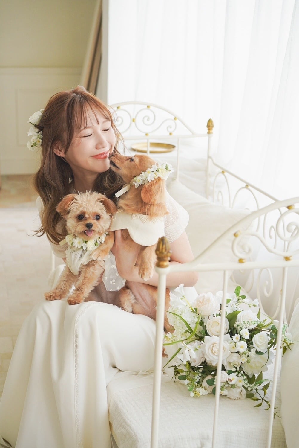 dog item
