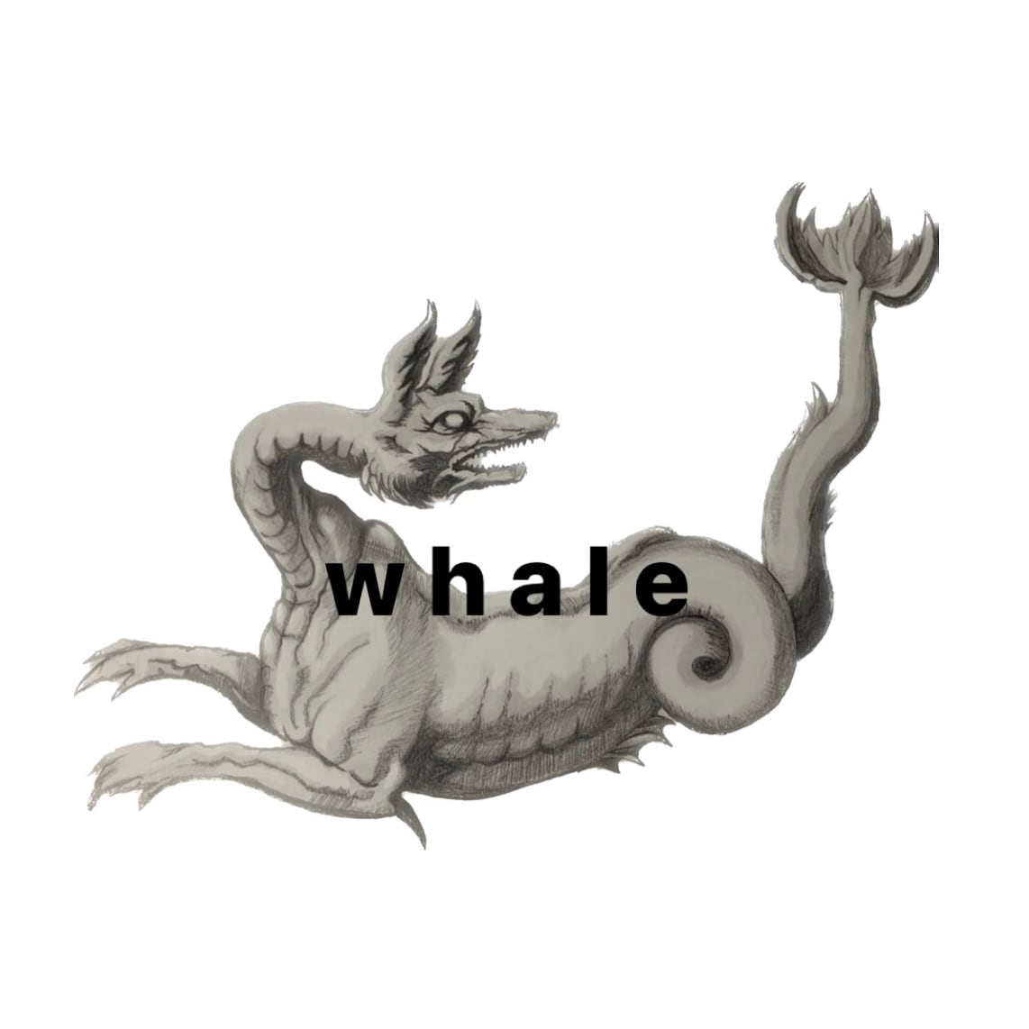 whale