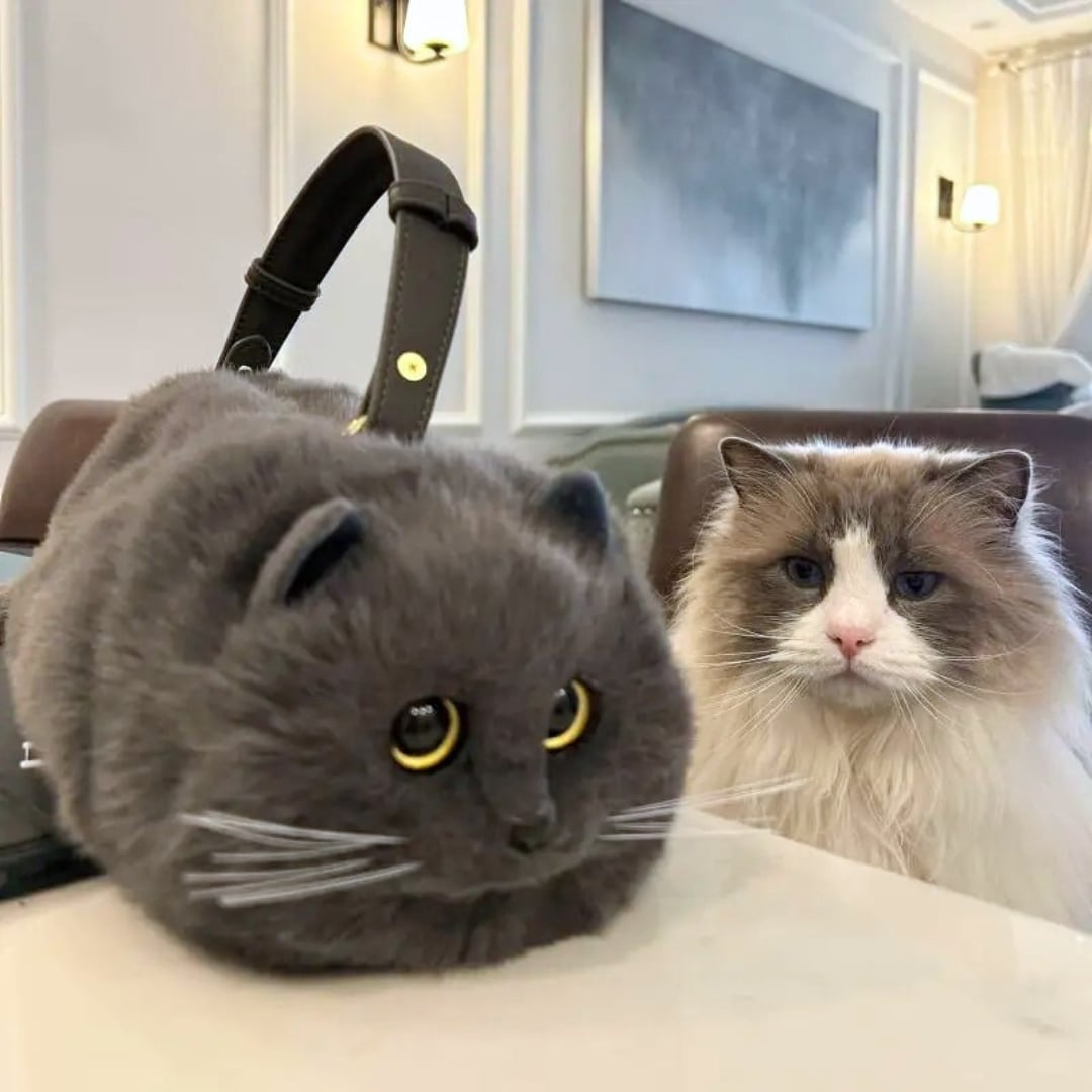 灰猫さん専用 Amazon | ベストアンサー 電動 自動 猫じゃらし スマート