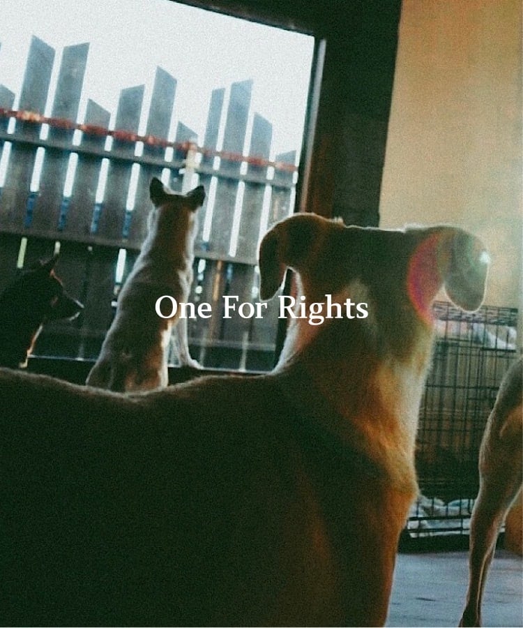 One For Rights Kamakura （ワンライツ）