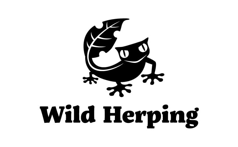 WildHerping