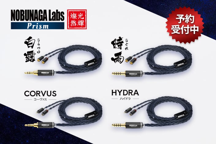 ★美品・セット★ゼンハイザー IE900＋ノブナガラボ 天吹 ☆美品・セット☆ゼンハイザー IE900＋ノブナガラボ 天吹 SENNHEISER