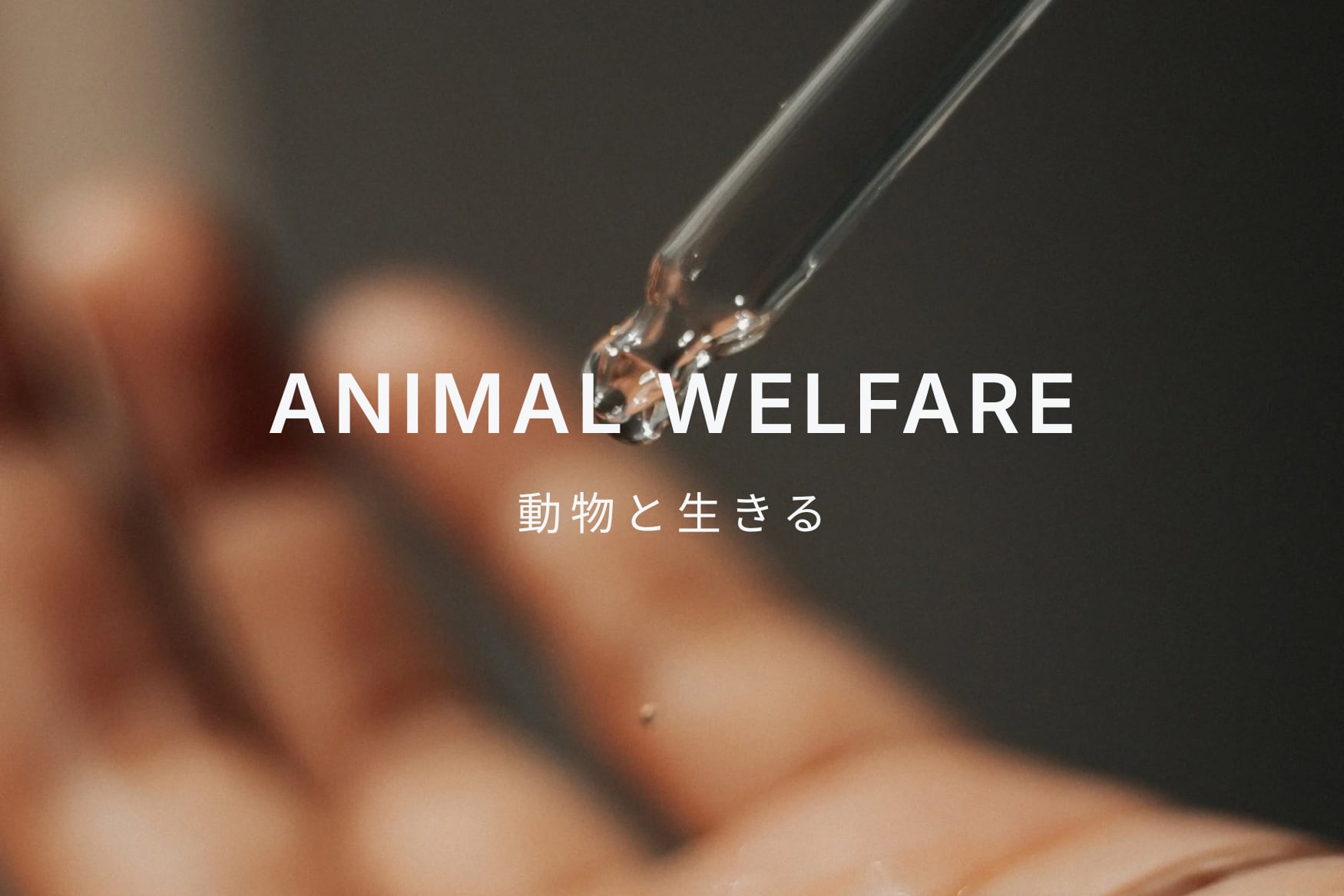 動物と生きる