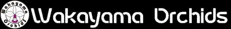 ワカヤマオーキッド
