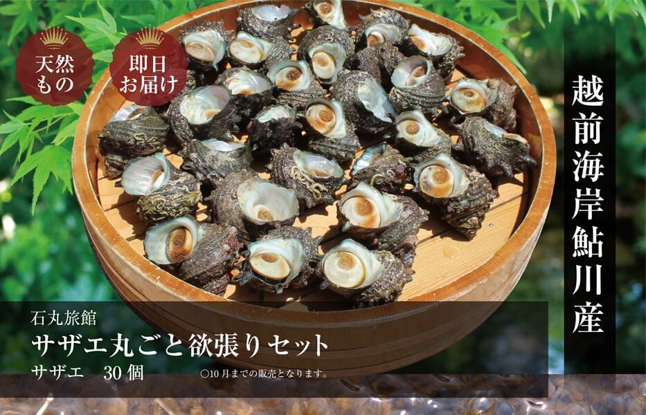 サザエ丸ごと欲張りセット　サザエ30個