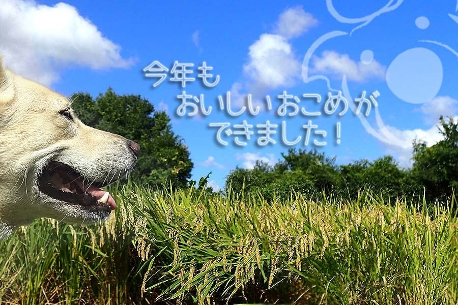 八つ葉農園