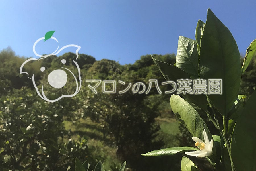 八つ葉農園