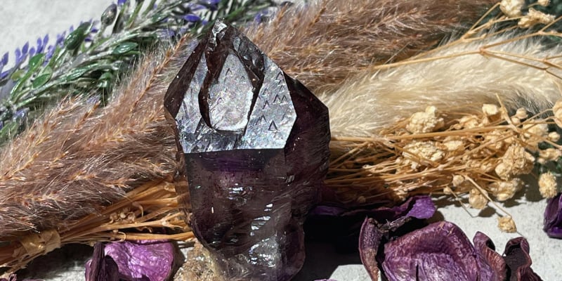 厳選コレクション