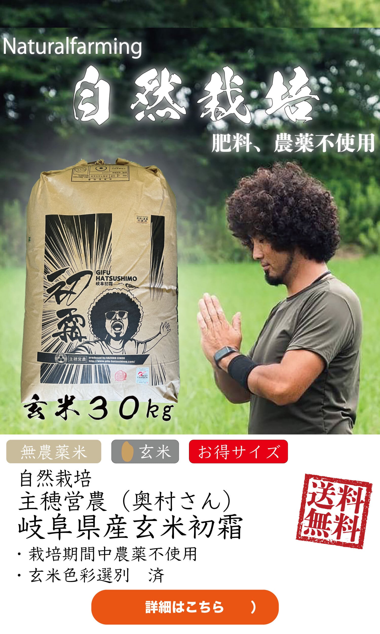 自然栽培『肥料・農薬不使用』30kg【送料無料】　主穂営農作　玄米岐阜県初霜　岐阜県産【令和7年産】