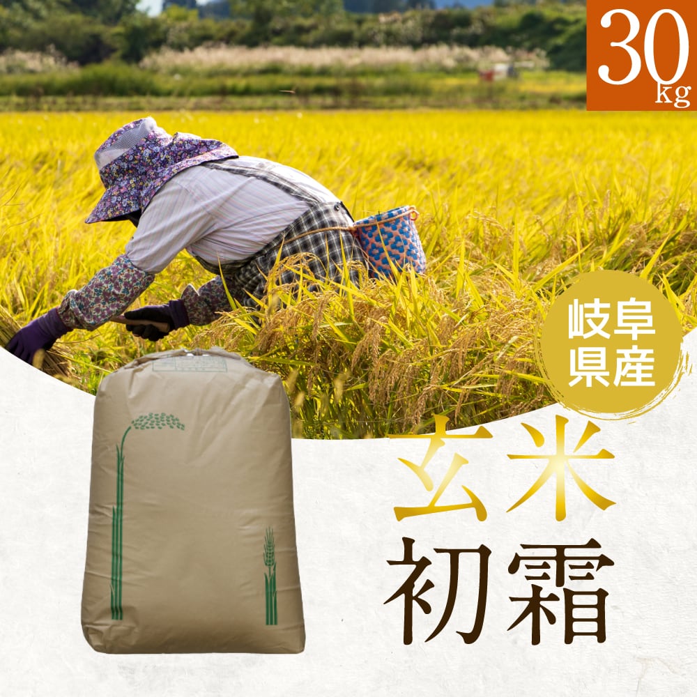 幻の米と名高い！玄米　岐阜県ハツシモ 30kg「慣行栽培」【令和5年産】