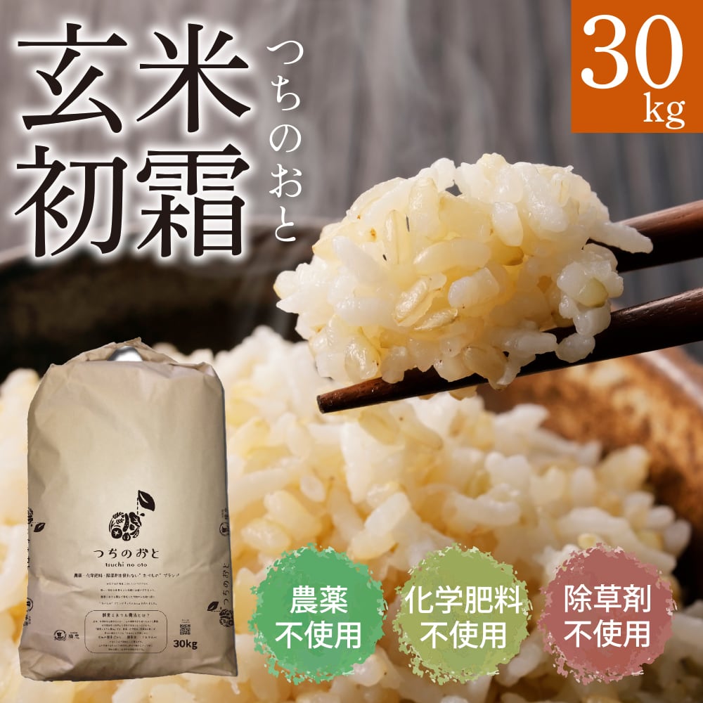 無農薬栽培米『つちのおと』30kg玄米初霜（酵素ミネラル農法）岐阜県産