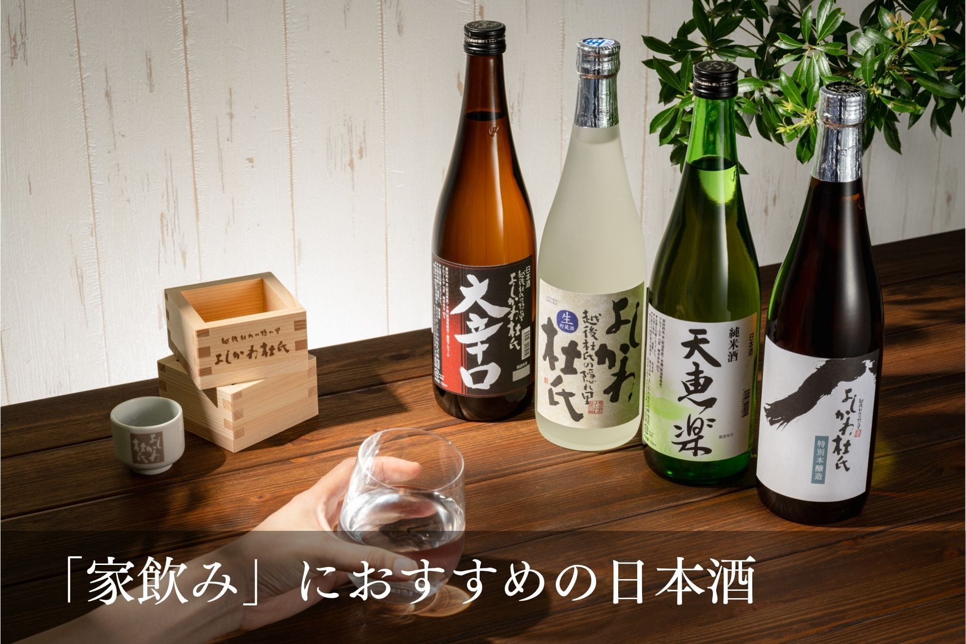 「家飲み」におすすめの日本酒