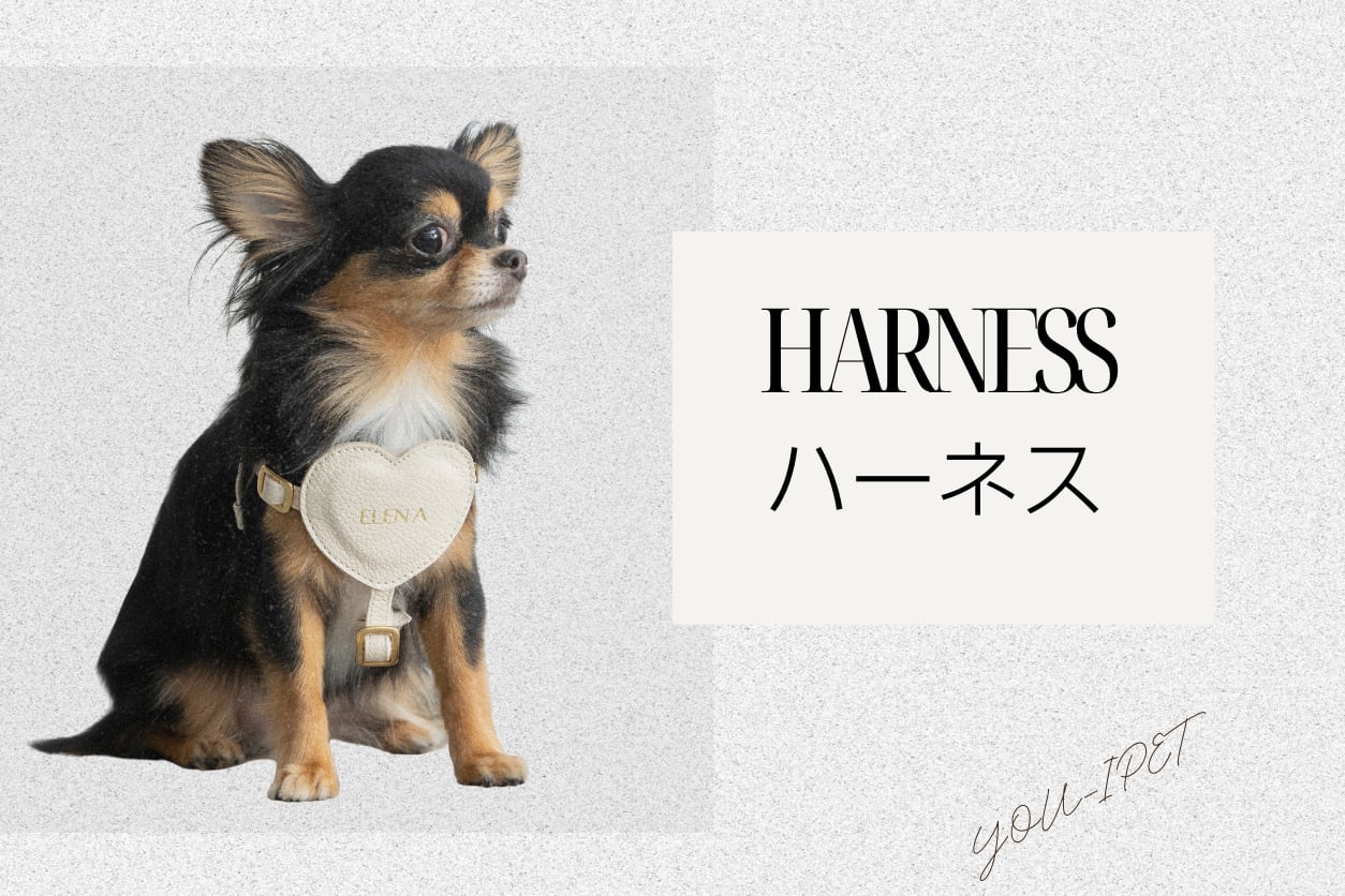 ハーネス