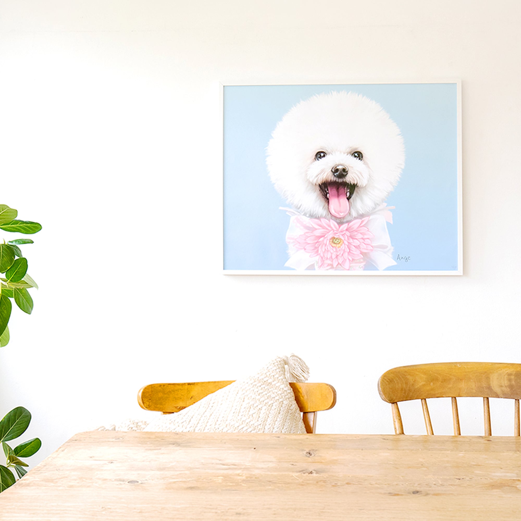 Pet Portraits