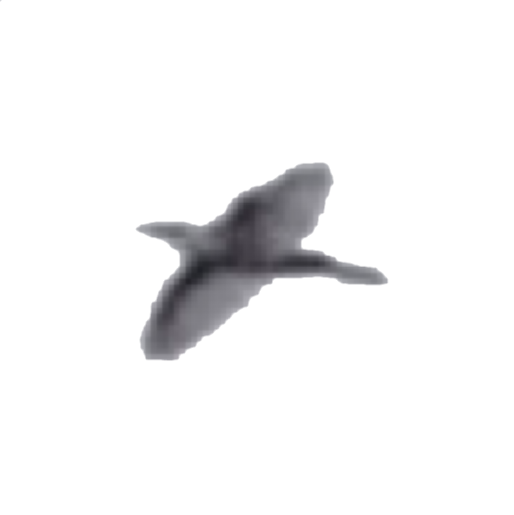 Imagining the flyways of migratory birds