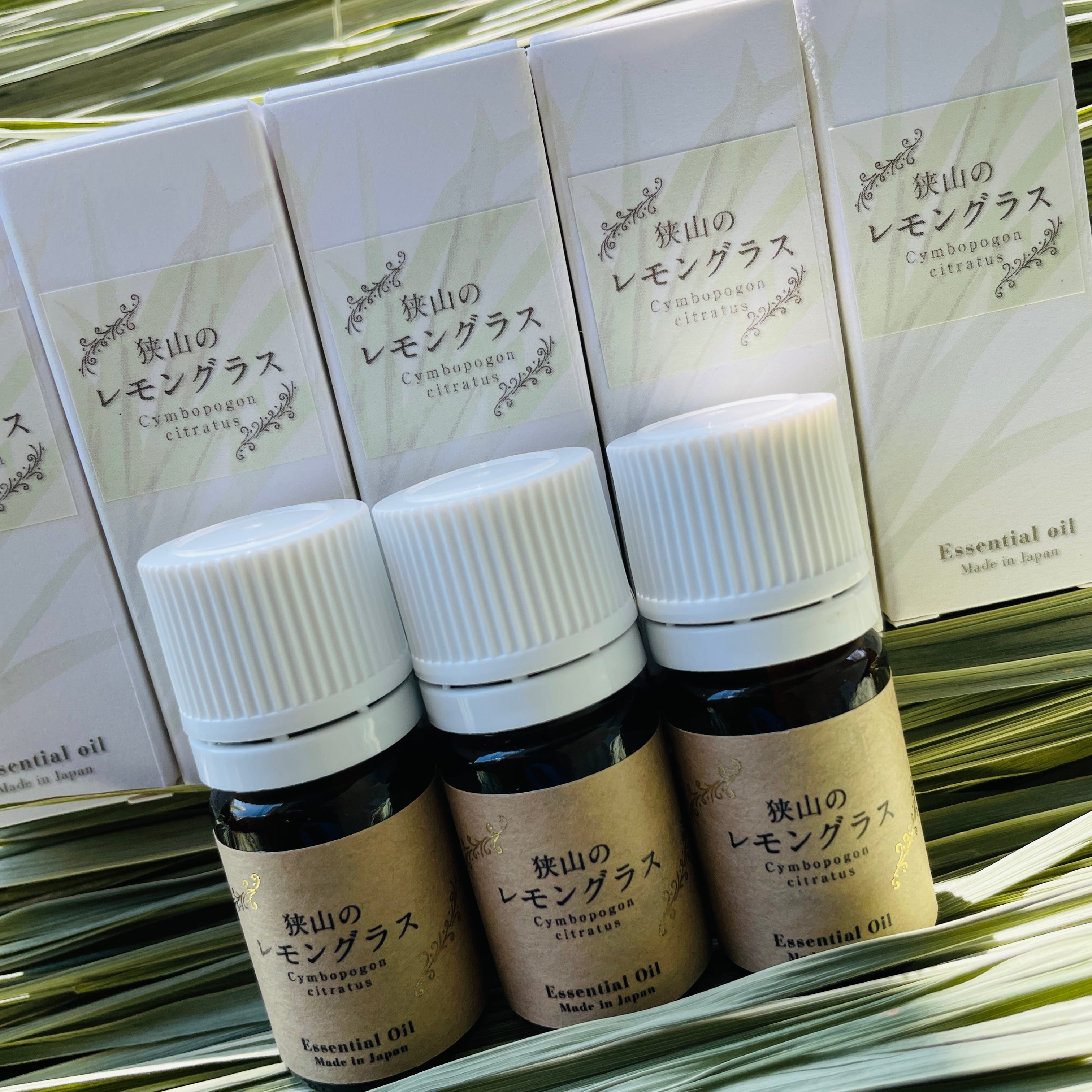 【生産者直送 国産精油】
狭山のレモングラス 
Cymbopogpn citratus
〜Essential Oil〜