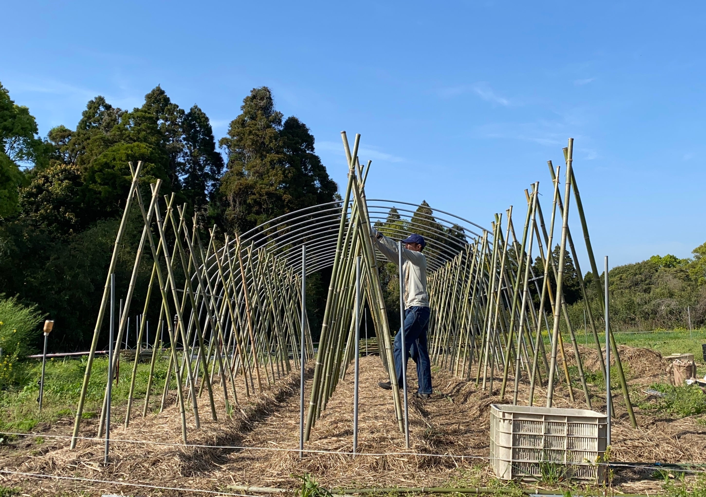 【公式】座右農園｜鹿児島の農家直送野菜セット販売