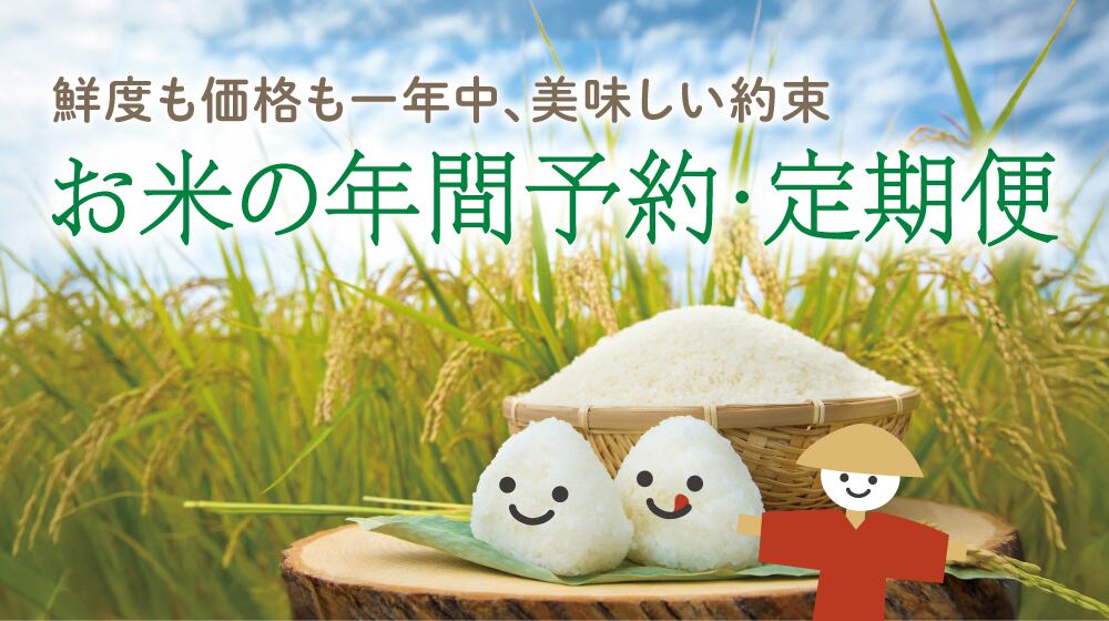 ひなた♪値下げ29年度 滋賀のコシヒカリ精米後発送　10kg✖2袋送込 滋賀県産 コシヒカリ 10kg(5kg×2袋) 無洗米 令和6年産 米 お米